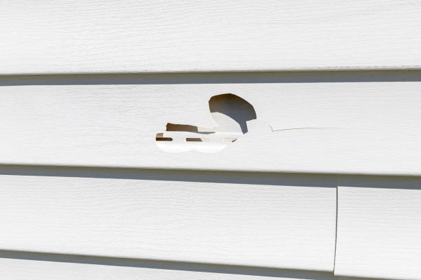 Moving and Downsizing Cleanouts in Lakewood, OH
